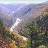 PINE CREEK GORGE