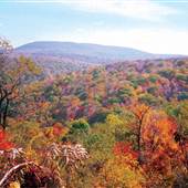 BLUE KNOB STATE PARK