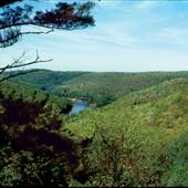 COOK FOREST STATE PARK