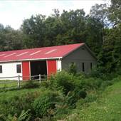 FIVE SPRINGS FARM-ARENA & PASTURE