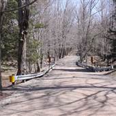 Newfoundland Road