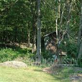 Tafton Abandoned House 2