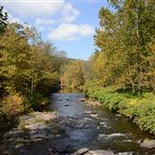 Pocono Stream