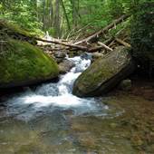 Appalachian Trail