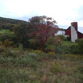 MEHOOPANY PROPERTY