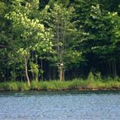 BALD EAGLE STATE PARK