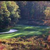 OLDE HOMESTEAD GOLF CLUB