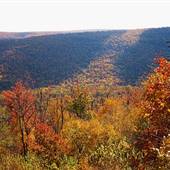 TUSCARORA STATE FOREST