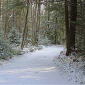 CLEAR CREEK STATE FOREST