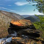 TIADAGHTON STATE FOREST