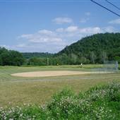 MIFFLIN TOWNSHIP, LYCOMING COUNTY...VIEW w/ FIELD