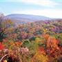 BLUE KNOB STATE PARK