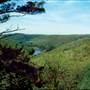 COOK FOREST STATE PARK