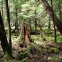 Hickory Run State Park, Carbon County