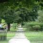 Honesdale Walkway