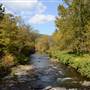 Pocono Stream