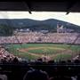 LITTLE LEAGUE WORLD SERIES HOWARD J. LAMADE STADIUM