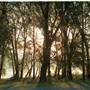 MILLERSBURG RIVER VIEWS & HISTORIC HOME