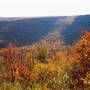 Tuscarora State Forest, Perry and Cumberland counties