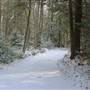 CLEAR CREEK STATE FOREST