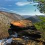 TIADAGHTON STATE FOREST