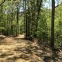WILDCAT MANSION LANDSCAPE