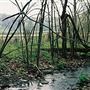 WIND RIDGE, GREENE COUNTY