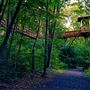 Nay Aug Park, Scranton
