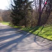 WOODED ACREAGE & ROADS, WESTMORELAND COUNTY