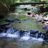 NOLDE FOREST STATE PARK