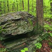 Delaware State Forest