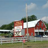 Buffalo Farm