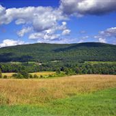 LAKEWOOD, WAYNE COUNTY