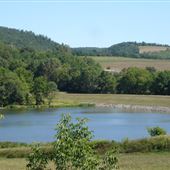 BRIAR CREEK LAKE