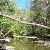 HARBORCREEK, ERIE COUNTY