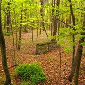 DINGMANS FERRY, PIKE COUNTY