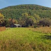 FORKSTON, WYOMING COUNTY