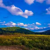 POLK, VENANGO COUNTY