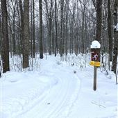 ALLEGHENY NATIONAL FOREST - Winter Scenes