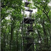 Fire Tower, Cook Forest State Park, Clarion and Forest counties