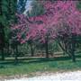 GIFFORD PINCHOT STATE PARK