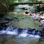 NOLDE FOREST STATE PARK