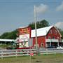 Buffalo Farm