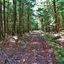 Hemlock Hill