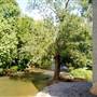 CREEK IN ANNVILLE