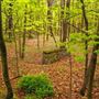 DINGMANS FERRY, PIKE COUNTY