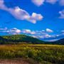POLK, VENANGO COUNTY