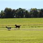 Fryburg, Clarion County