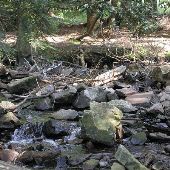 ROTHROCK TRAIL, ROTHROCK STATE FOREST