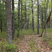 PIKE COUNTY GAME LANDS